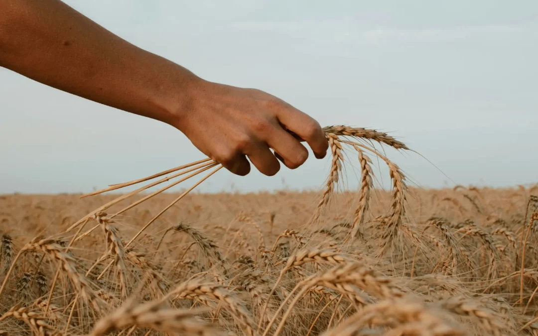 El CIFP Viñalta de Palencia acoge el campeonato nacional de FP agraria con estudiantes de seis comunidades los días 28 y 29 de abril