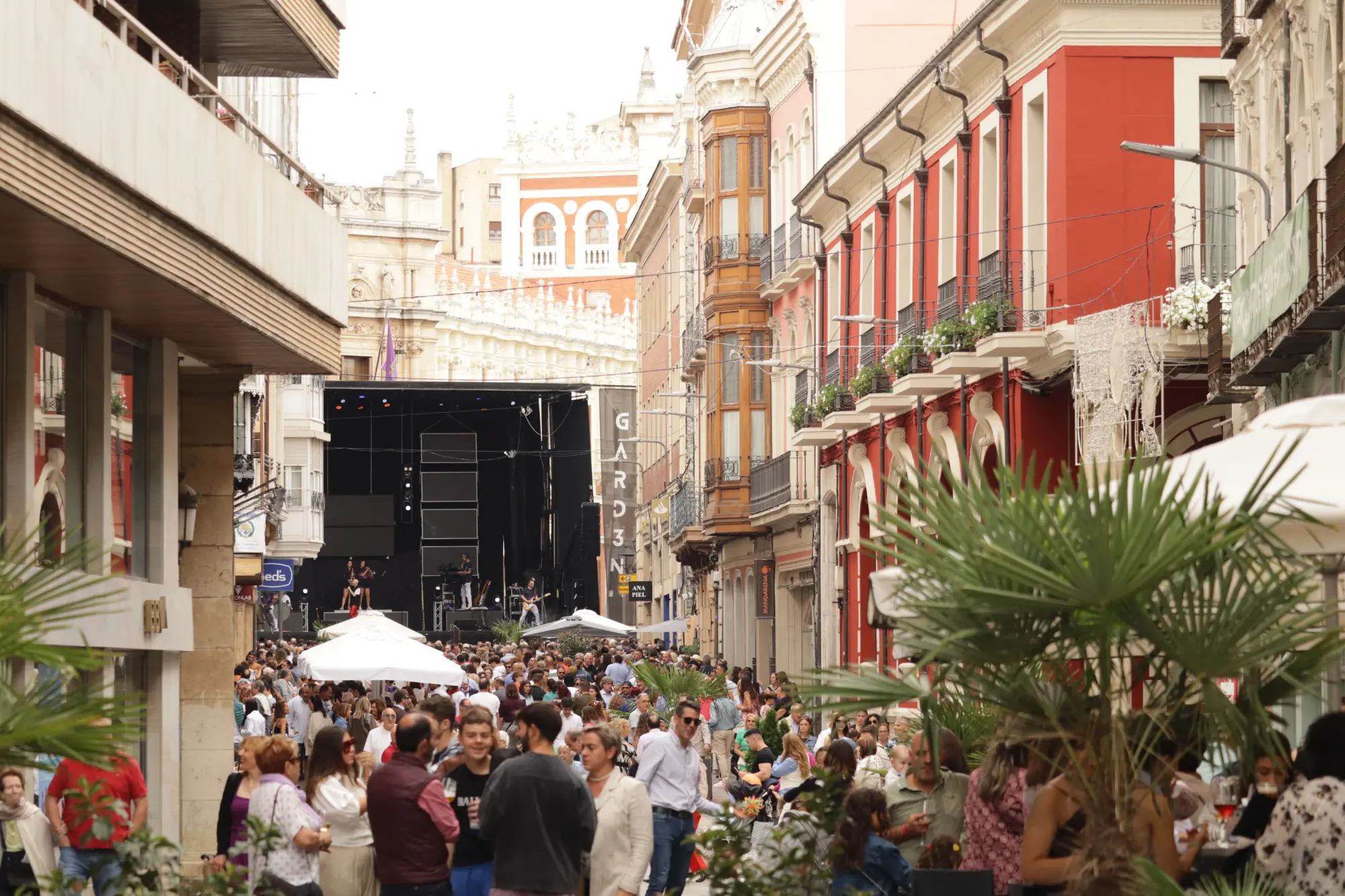 Programa de fiestas de San Antolín 2026 en Palencia